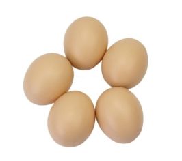 ОБРУДОВАНИЕ Д/ПТИЦ