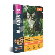 ALL CATS 85 гр д/кош. пауч тефтельки с индейкой в соусе, 1/28/672