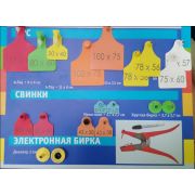 Бирка ушная ТагПен (п+ м) Оранжевая одного размера (50 x 42)