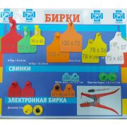 Бирка ушная Таг9 (п+м) Оранжевая одного размера (75 x 60)